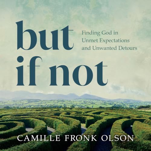 Cover of But If Not