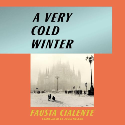 Cover of A Very Cold Winter
