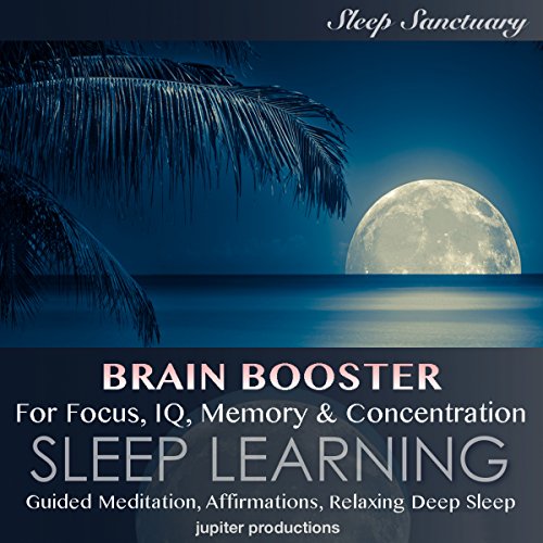 Cover of Brain Booster