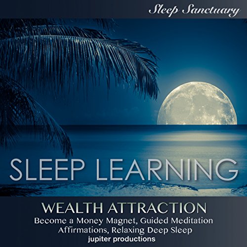 Cover of Wealth Attraction, Become a Money Magnet