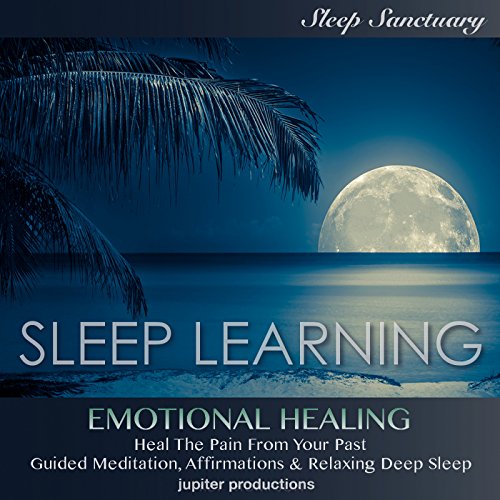 Cover of Emotional Healing, Heal the Pain from Your Past
