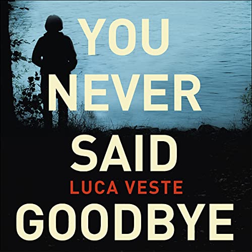 Cover of You Never Said Goodbye
