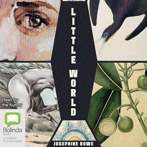 Cover of Little World
