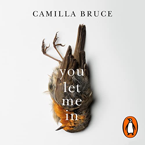 Cover of You Let Me In