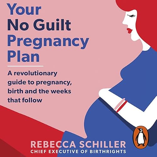 Cover of Your No Guilt Pregnancy Plan