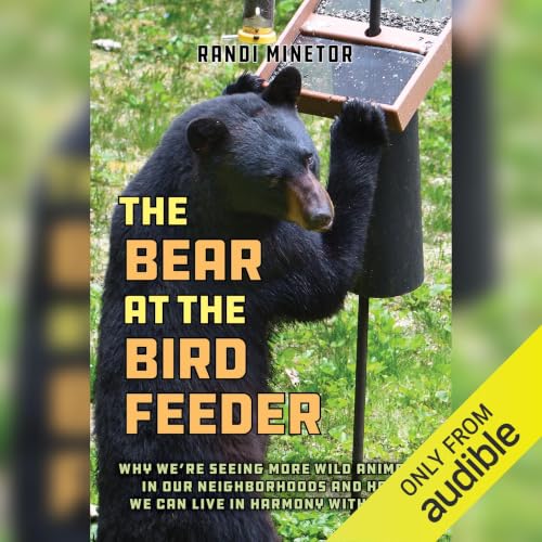 Cover of Bear at the Bird Feeder