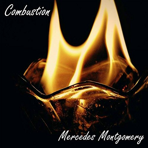 Cover of Combustion