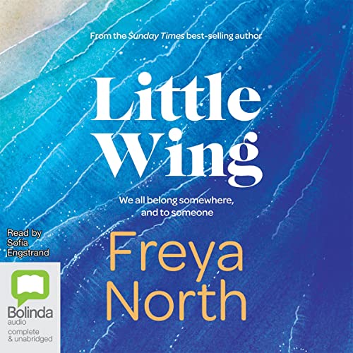 Cover of Little Wing