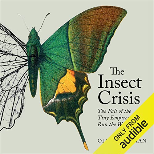 Cover of The Insect Crisis