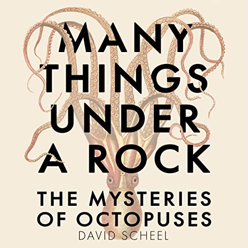 Cover of Many Things Under a Rock