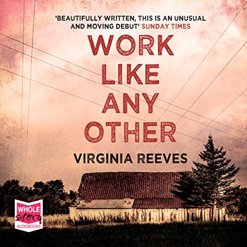 Cover of Work Like Any Other