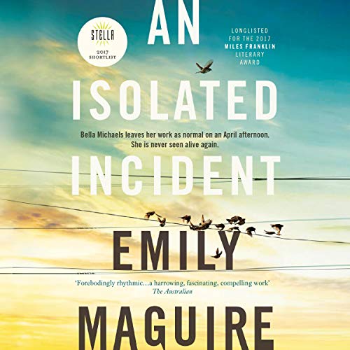 Cover of An Isolated Incident