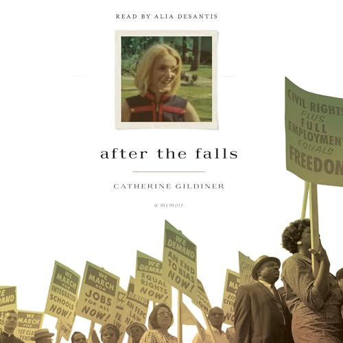 Cover of After the Falls
