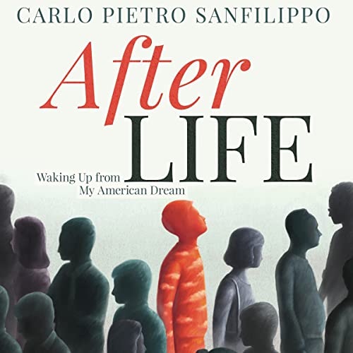 Cover of AfterLIFE