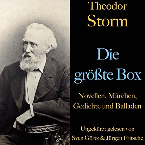 Cover of Theodor Storm. Die größte Box