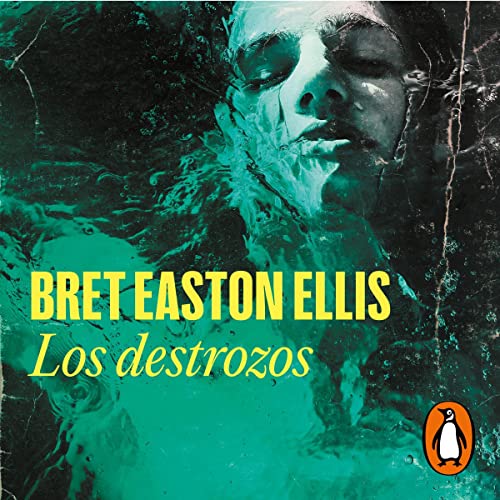 Cover of Los destrozos