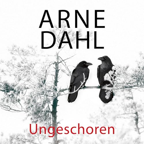 Cover of Ungeschoren (A-Team 6)