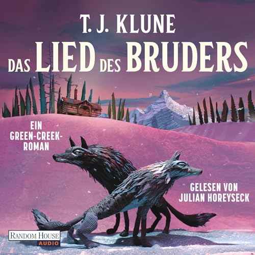 Cover of Das Lied des Bruders