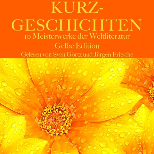 Cover of Kurzgeschichten - Zehn Meisterwerke der Weltliteratur - Gelbe Edition