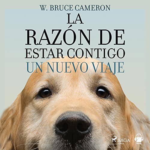 Cover of Un nuevo viaje