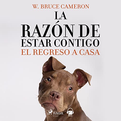 Cover of El regreso a casa