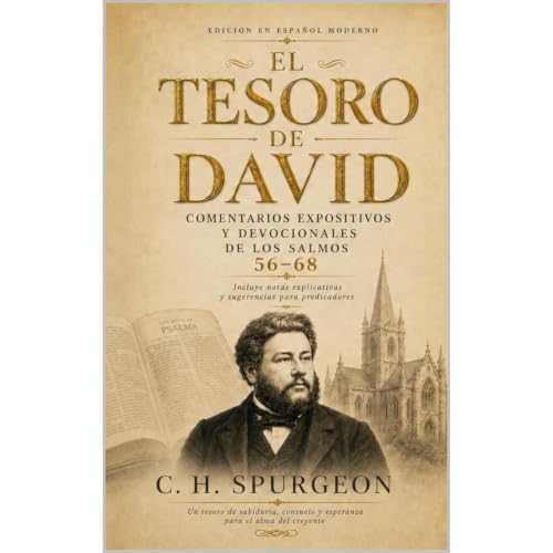 Cover of El Tesoro de David — Volumen 6