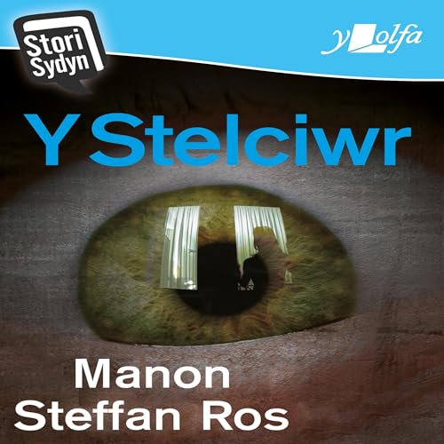 Cover of Y Stelciwr (Welsh Edition)