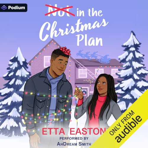 Cover of Not in the Christmas Plan