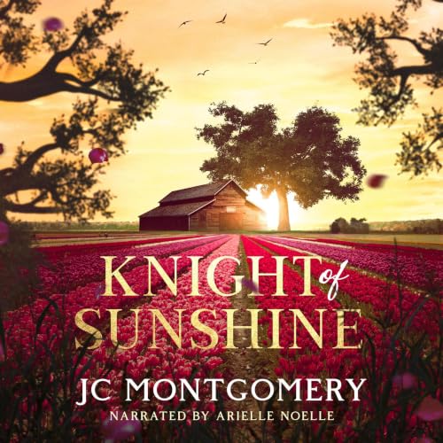 Cover of Knight of Sunshine