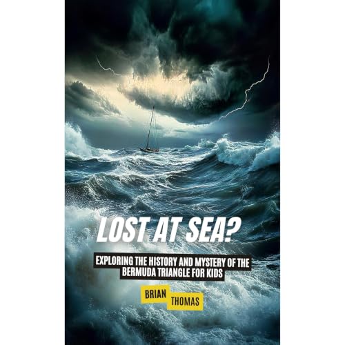 Cover of Lost at Sea?
