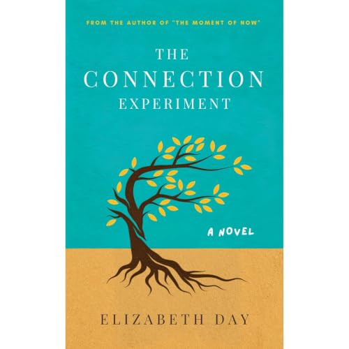 Cover of The Connection Experiment
