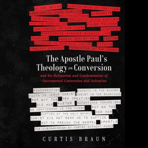 Cover of The Apostle Paul's Theology on Conversion