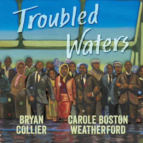Cover of Troubled Waters