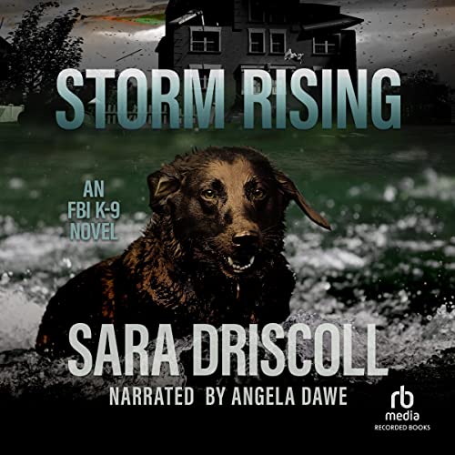 Cover of Storm Rising