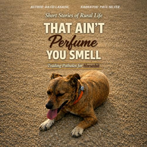Cover of That Ain’t Perfume You Smell