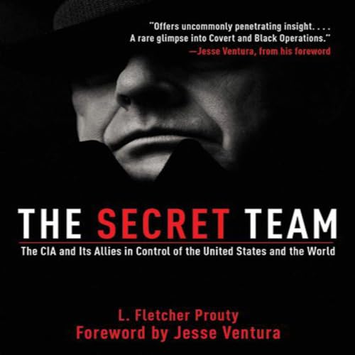 Cover of The Secret Team