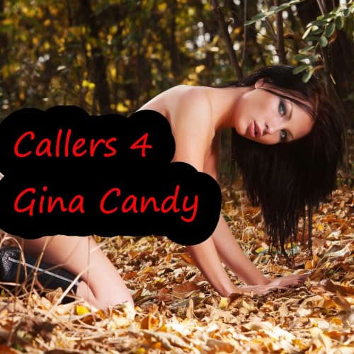 Cover of Callers 4