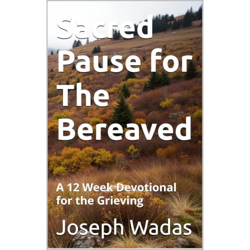 Cover of Sacred Pause for The Bereaved