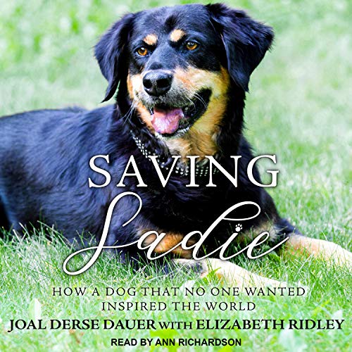 Cover of Saving Sadie