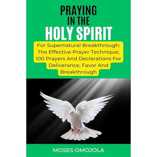 Cover of Praying In The Holy Spirit For Supernatural Breakthrough: The Effective Prayer Technique; 100 Prayers And Declarations For Deliverance, Favor And Breakthrough