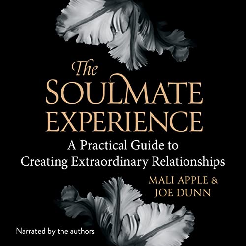 Cover of The Soulmate Experience
