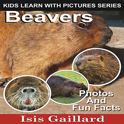 Cover of Beavers