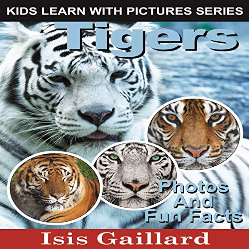 Cover of Tigers