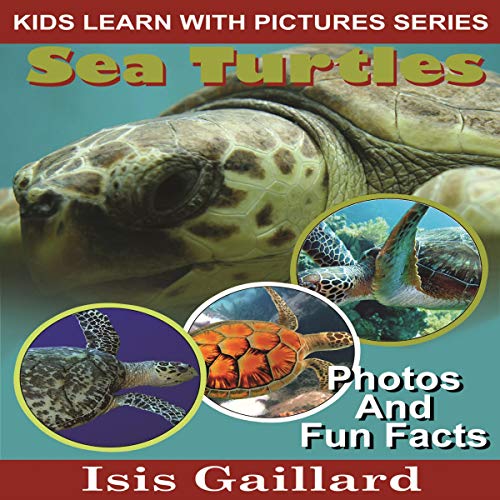 Cover of Sea Turtles: Photos and Fun Facts for Kids