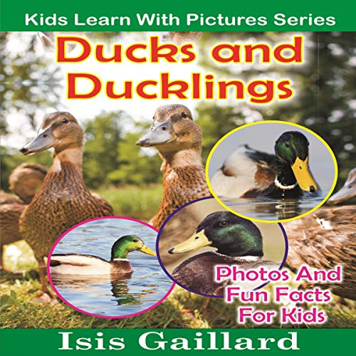 Cover of Ducks and Ducklings
