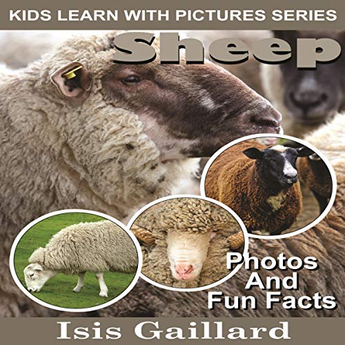 Cover of Sheep: Photos and Fun Facts for Kids (Kids Learn With Pictures)