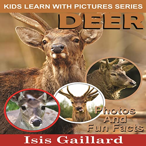 Cover of Deer