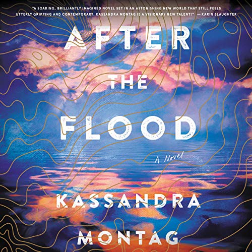 Cover of After the Flood