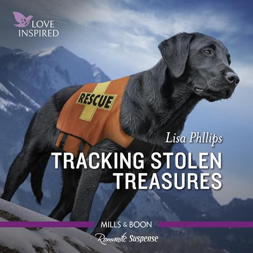 Cover of Tracking Stolen Treasures