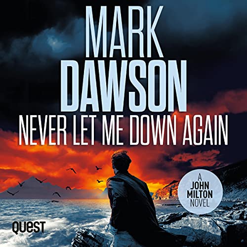 Cover of Never Let Me Down Again